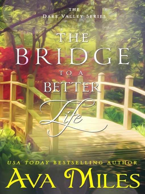 Cover image for The Bridge to a Better Life